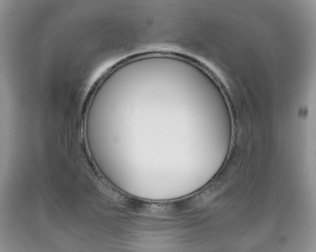 X0000090761271200707201046