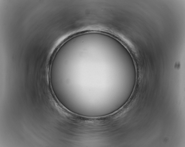 X0000090761272200707201046