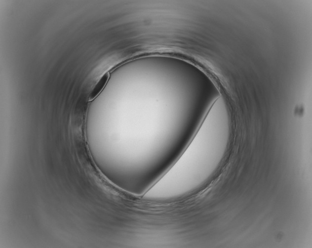 X0000090761273200707201046