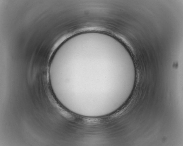 X0000090761274200707201046