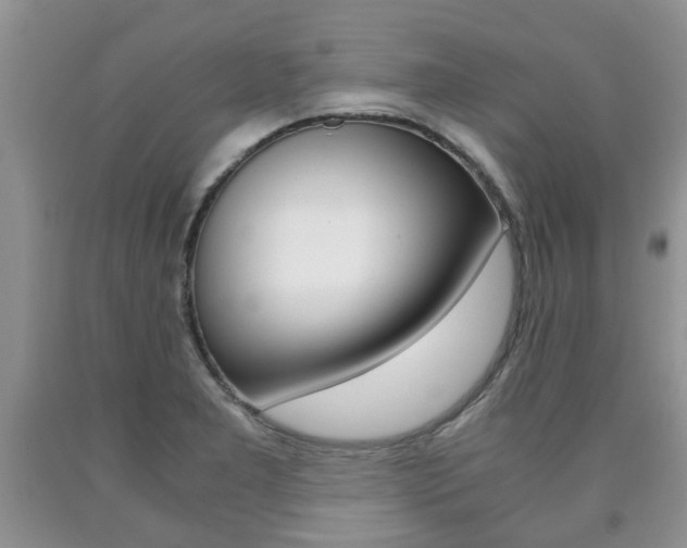 X0000090761277200707201046