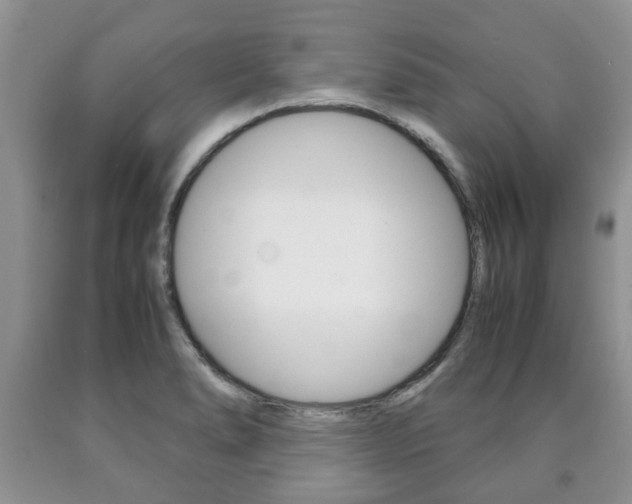 X0000090761278200707201046