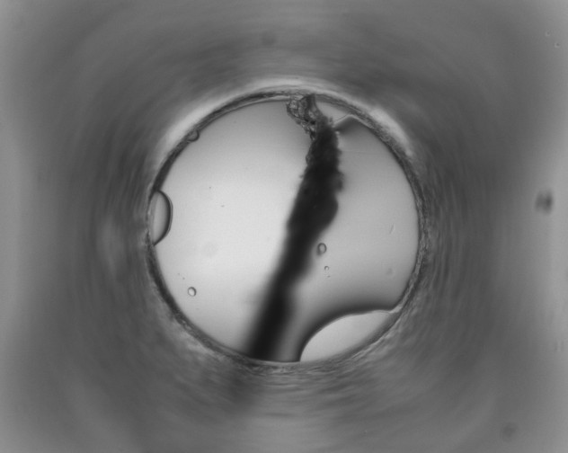 X0000090761279200707201046
