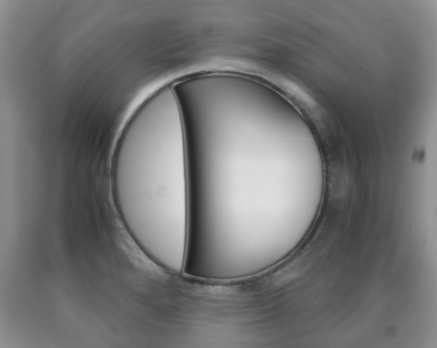 X0000090761280200707201046