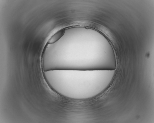 X0000090761283200707201046