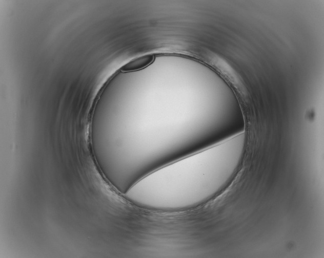 X0000090761284200707201046