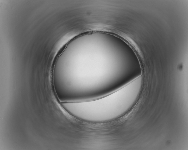 X0000090761285200707201046