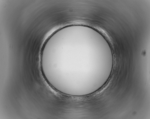 X0000090761286200707201046