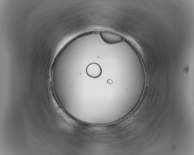 X0000090761287200707201046