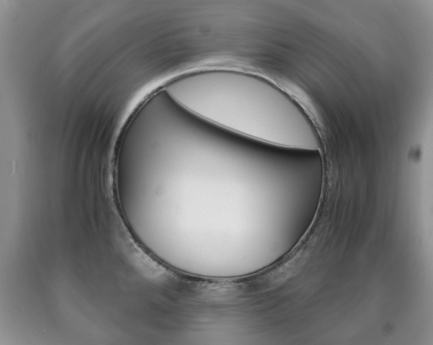 X0000090761288200707201046