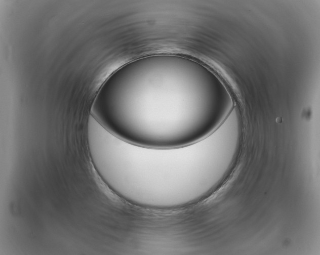 X0000090761289200707201046