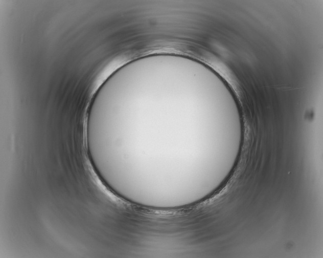 X0000090761290200707201046