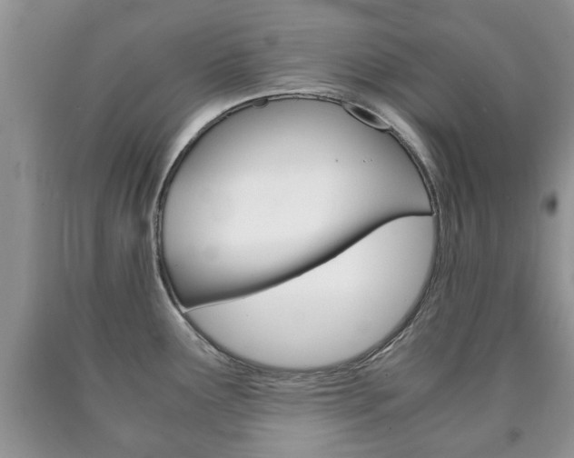 X0000090761291200707201046