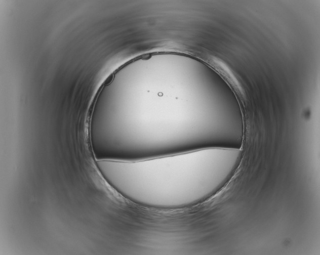 X0000090761292200707201046