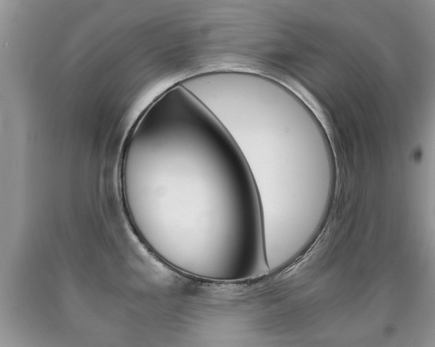X0000090761293200707201046
