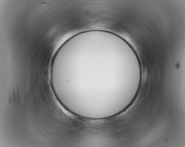 X0000090761294200707201046