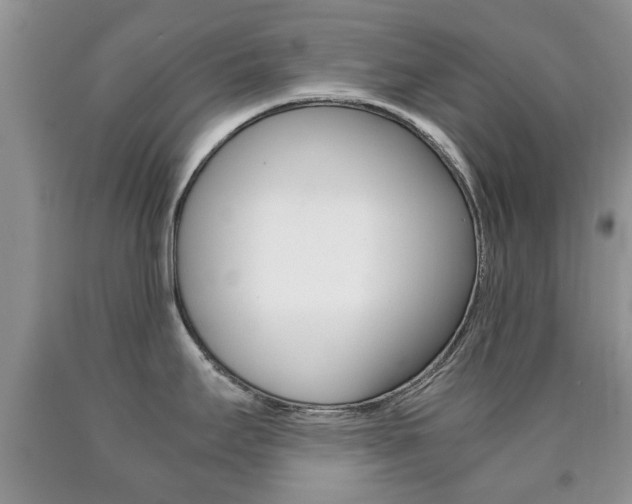 X0000090761295200707201046