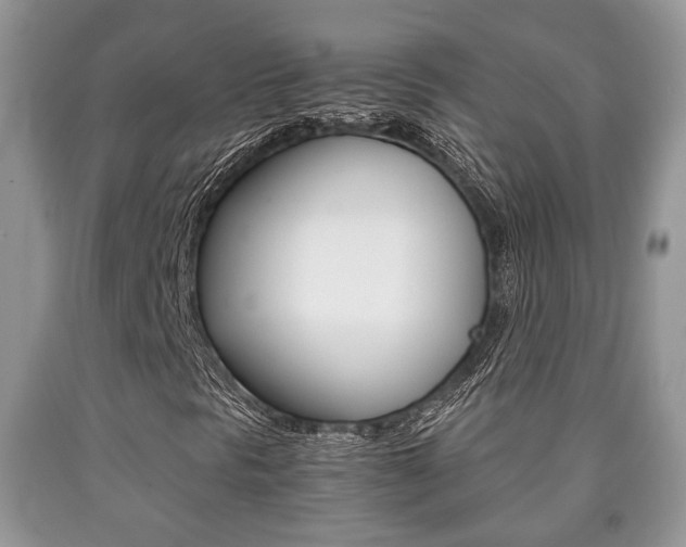 X0000090761297200707201045