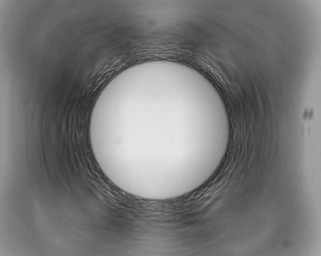 X0000090761298200707201045