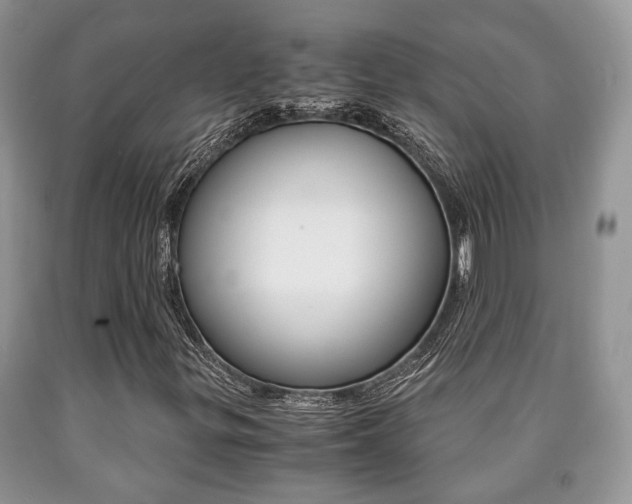 X0000090761299200707201045