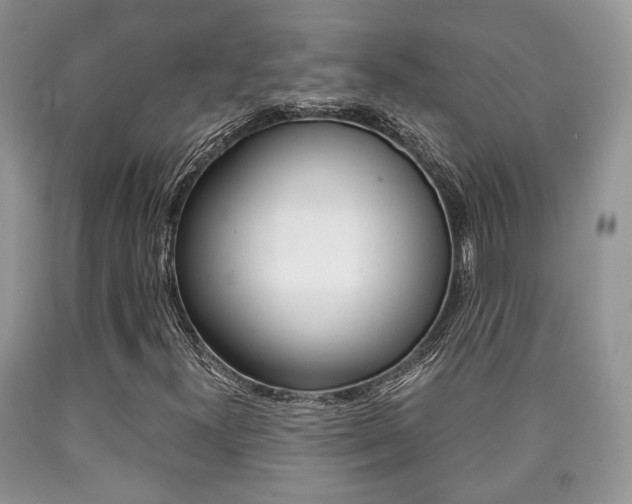 X0000090761300200707201045