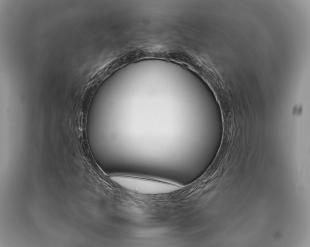 X0000090761301200707201045