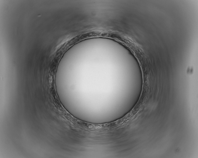 X0000090761302200707201045