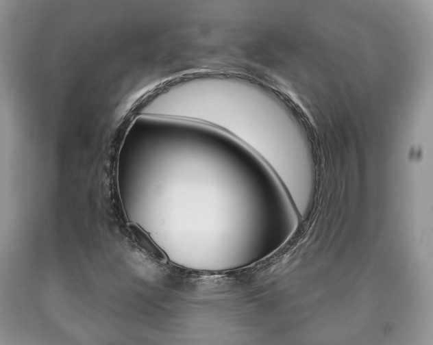 X0000090761304200707201045