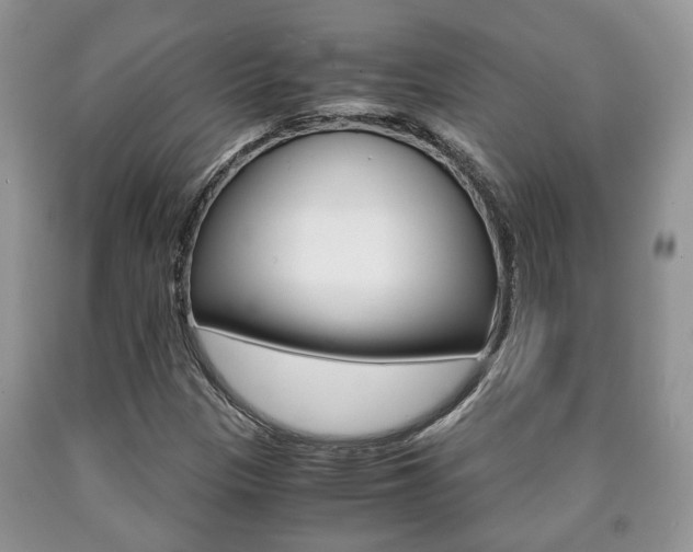 X0000090761305200707201045