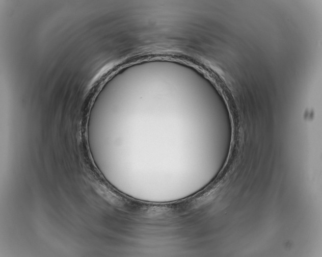 X0000090761306200707201045