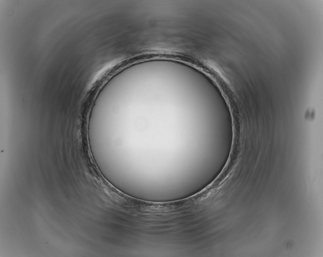 X0000090761307200707201045