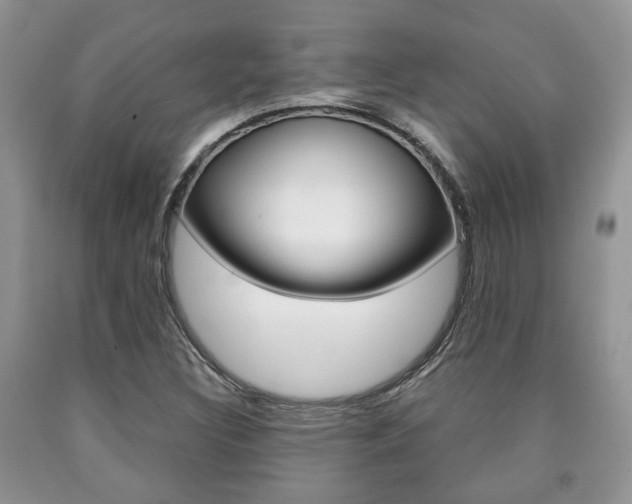 X0000090761308200707201045