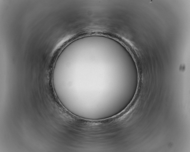 X0000090761309200707201045