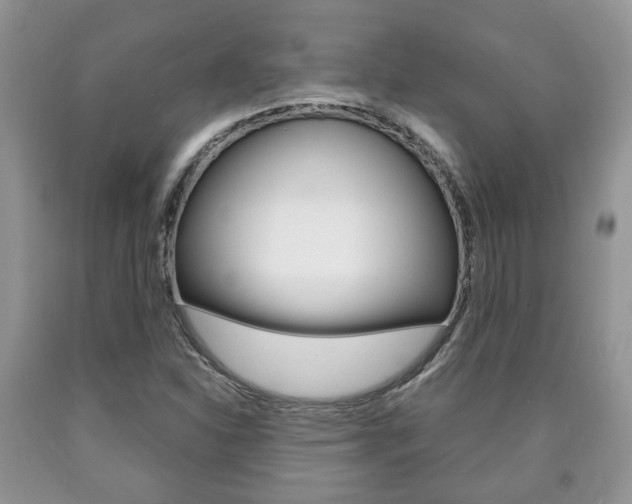 X0000090761310200707201045