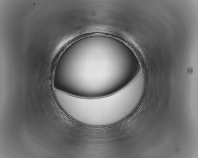 X0000090761312200707201045