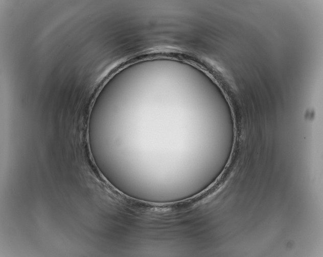 X0000090761313200707201045