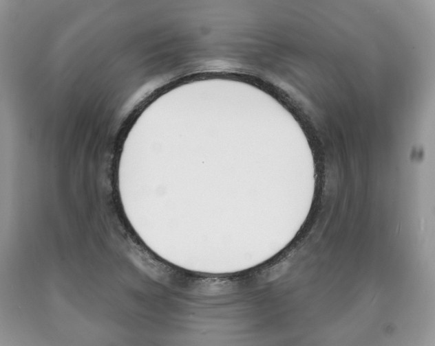 X0000090761314200707201045
