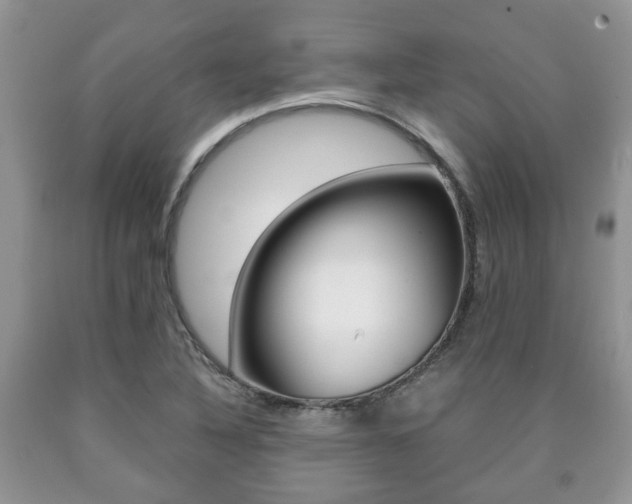 X0000090761316200707201045