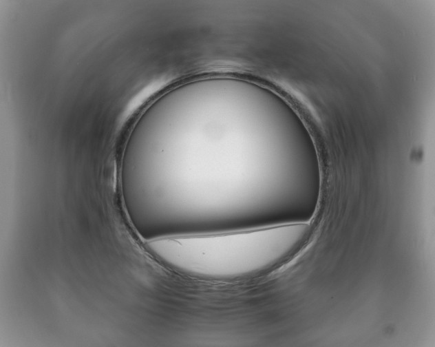 X0000090761317200707201045