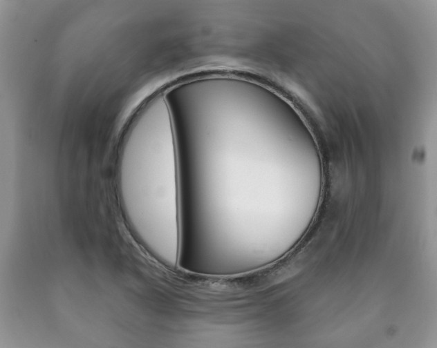 X0000090761318200707201045