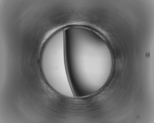 X0000090761319200707201045
