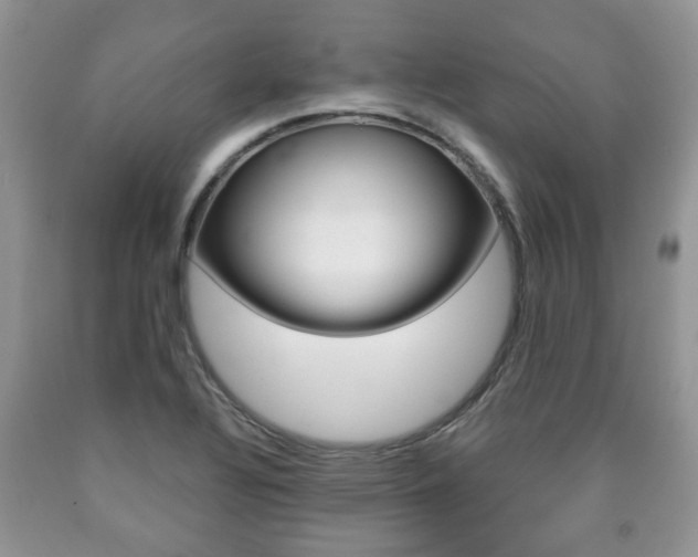 X0000090761320200707201045