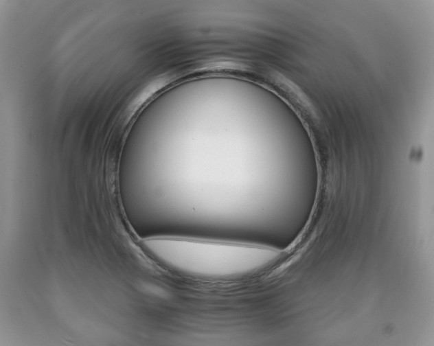 X0000090761321200707201045