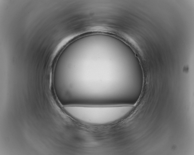 X0000090761323200707201045