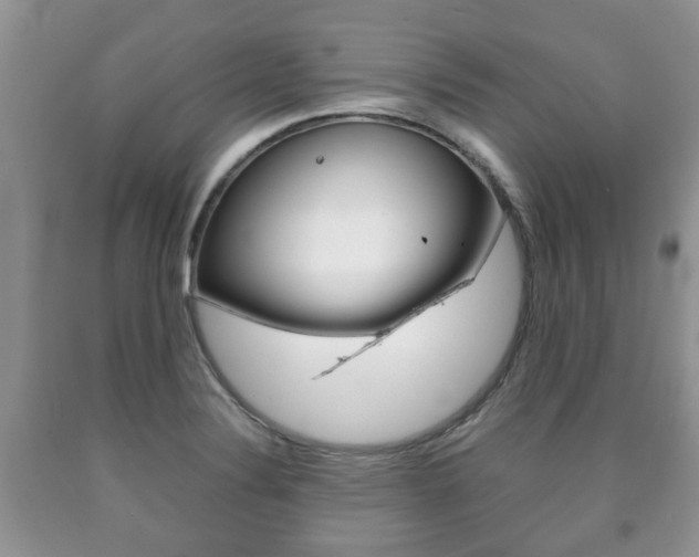 X0000090761324200707201045