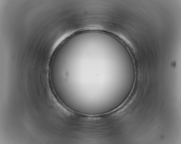 X0000090761325200707201045