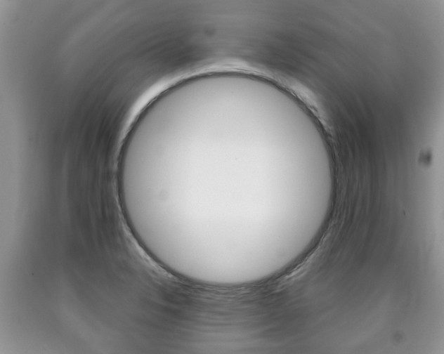 X0000090761326200707201045