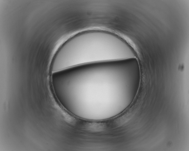 X0000090761327200707201045