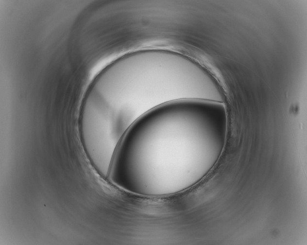 X0000090761328200707201045
