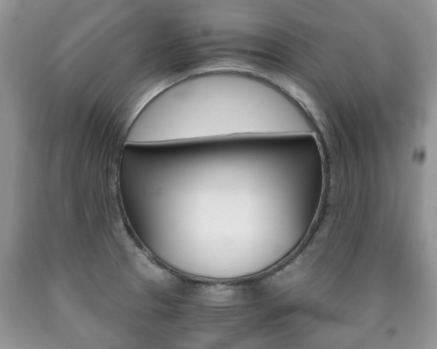 X0000090761329200707201045
